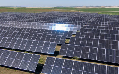 Texla avanza en ocho plantas fotovoltaicas en Utrera y Carmona que evitarán la emisión de 261.794 de toneladas de CO₂ a la atmósfera