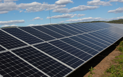 Cúbico confía en Texla para la optimización y mejora de la eficiencia de cuatro huertos solares en la Rioja