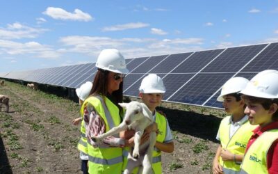 Experiencia única para estudiantes en el complejo fotovoltaico Cartago A1: integración de energía solar y conservación ambiental de la mano de Texla y Bruc