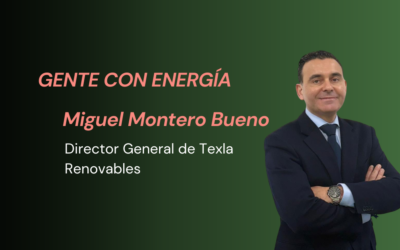 “El curtailment será un desafío crítico en el futuro: urge reforzar redes e infraestructuras energéticas”