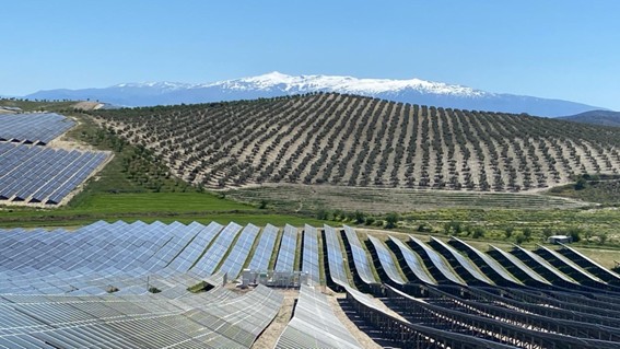 Planta solar de Caparacena, Granada