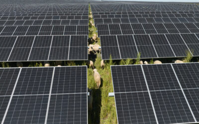 Texla Energías Renovables cierra 2025 participando en una cartera de más de 7.600 MW y consolida su liderazgo en ingeniería y gestión de activos renovables