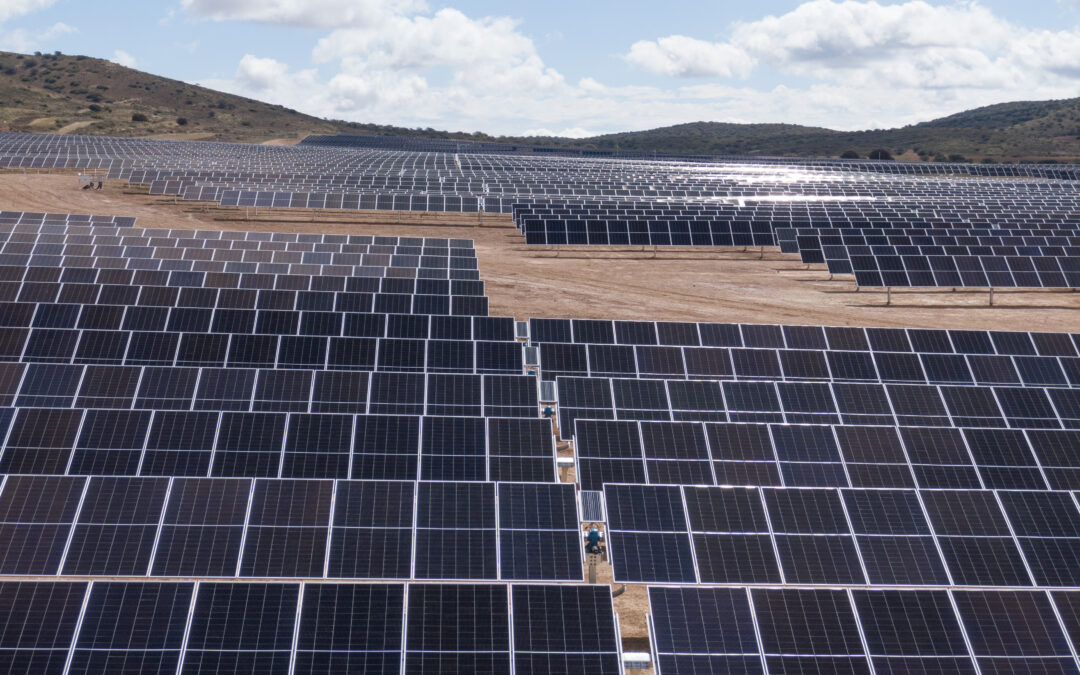 Hacia un permitting más ágil: la contribución técnica de Texla en proyectos renovables