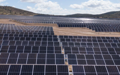 Hacia un permitting más ágil: la contribución técnica de Texla en proyectos renovables