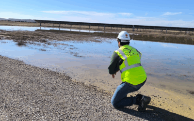 Consultoría ambiental: la ventaja competitiva que asegura la viabilidad de los proyectos renovables