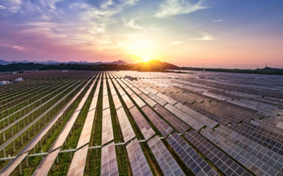 Texla participa en la VI edición de la Climate Ambition Accelerator del Pacto Mundial de la ONU
