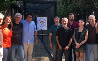 Texla participa en el proyecto para la reintroducción del torillo andaluz en Andalucía impulsado por la Consejería de Sostenibilidad y Medio Ambiente